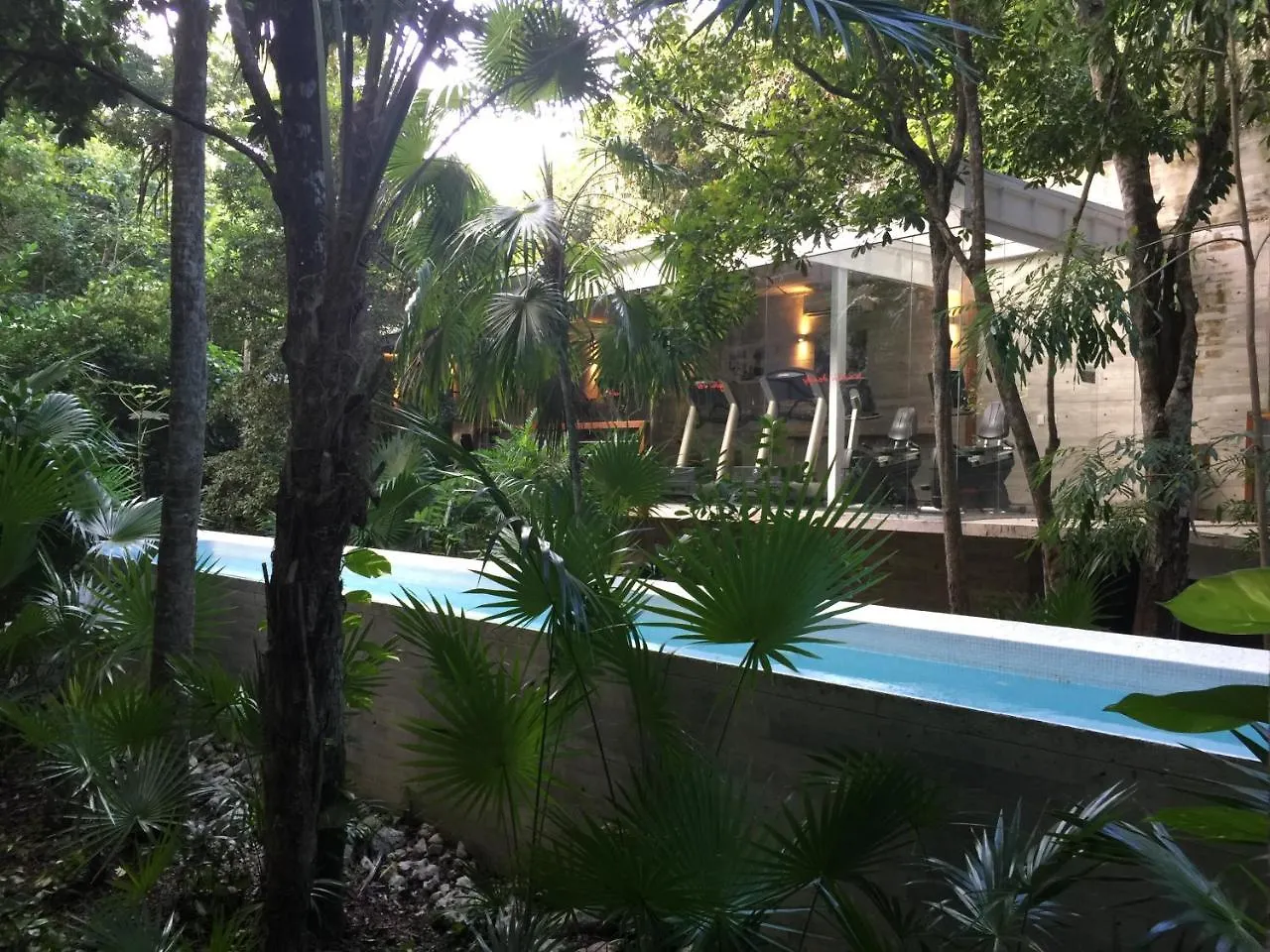 Apartment Luxury Modern Bahia Principe Condo